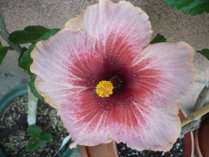 P1240017