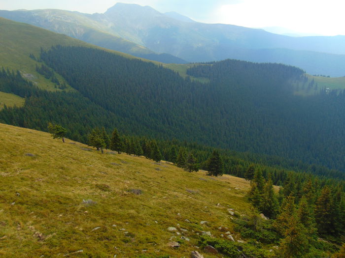 DSC09575