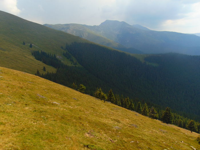 DSC09579