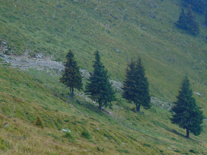 DSC09597