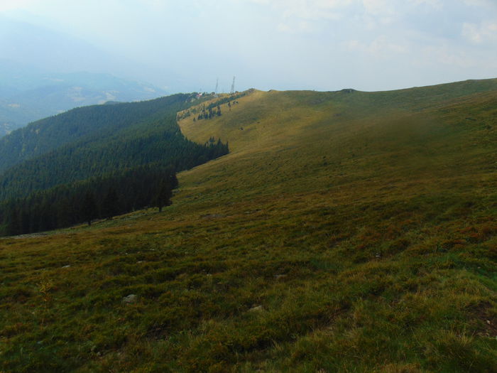 DSC09605