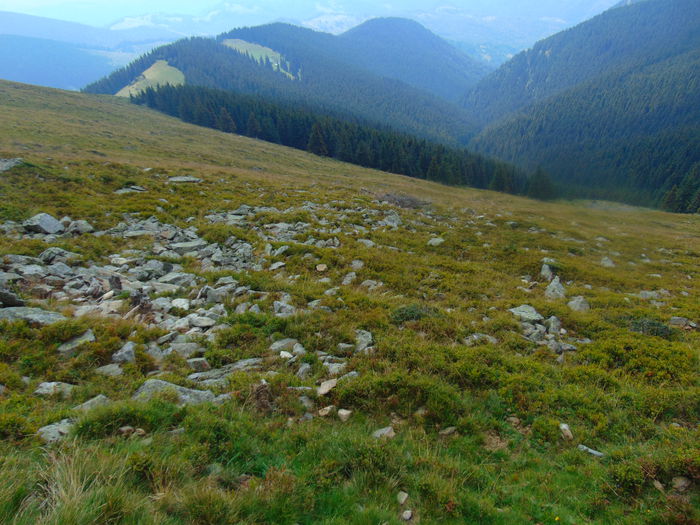 DSC09607