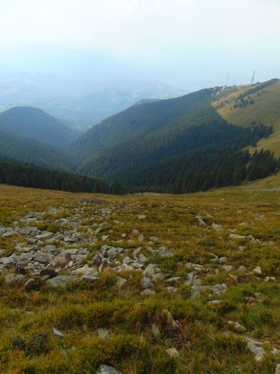 DSC09608