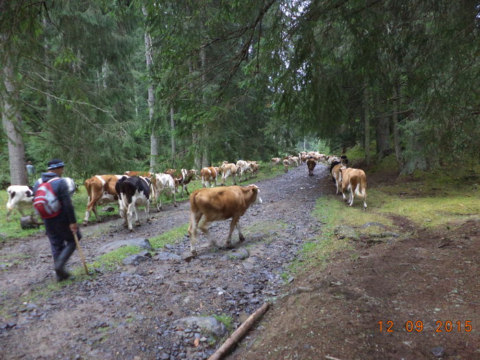 Pe langa fosta unitate militara