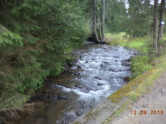 Valea Toplitei-2 - COBORATUL DE LA STANA-DEALUL-ALB-2015