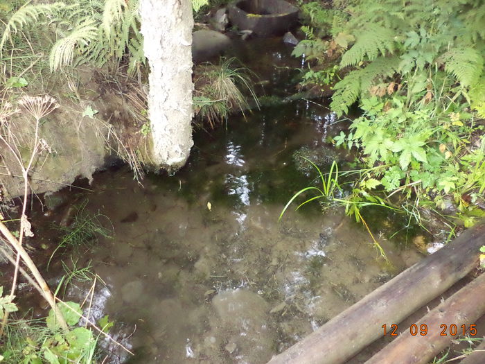 Izvorul cel limpede-54