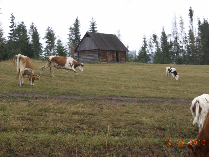 DSC00208