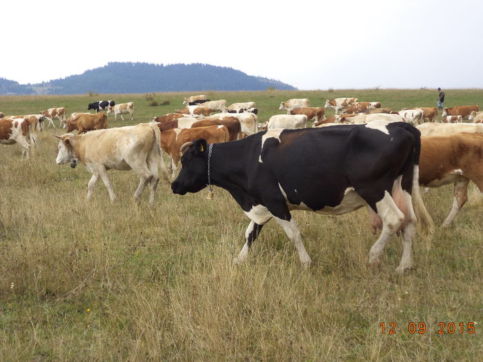 Nu mai avem mult de mers