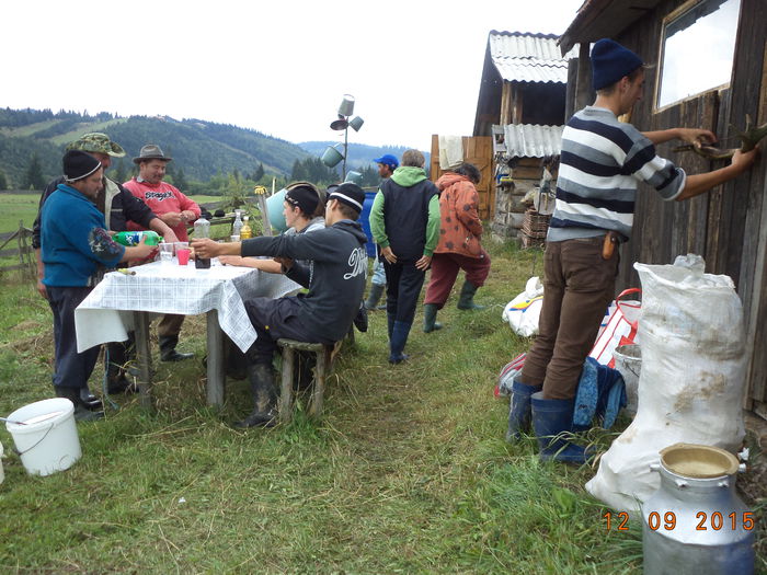 Obositi dar am ajuns cu bine cu animalele