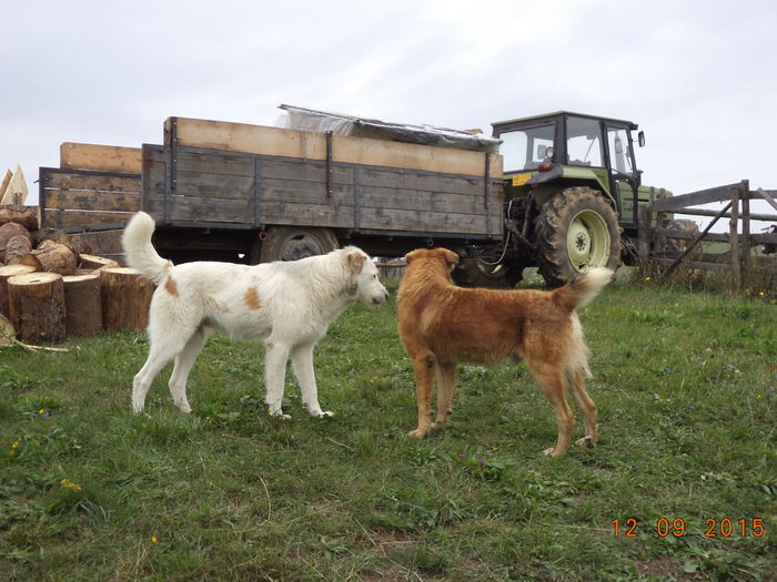 Balan si Roscovanul s-au intalnit