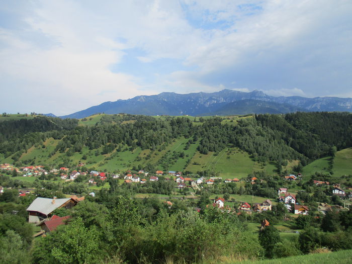 IMG_2703 - Brasov-Bran-Moeciu