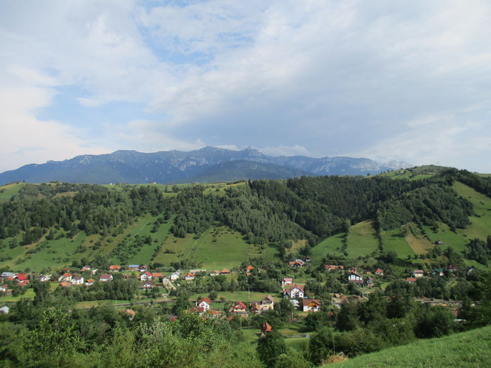 IMG_2704 - Brasov-Bran-Moeciu