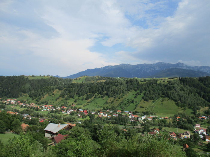 IMG_2708 - Brasov-Bran-Moeciu