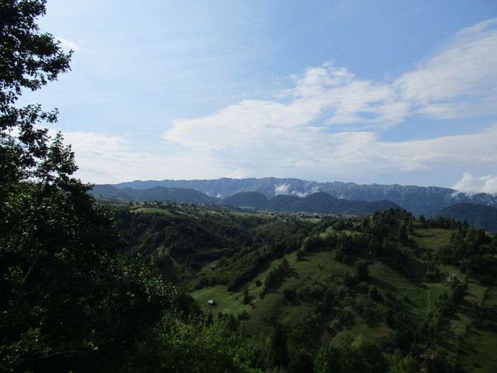 IMG_2709; M-tii Piatra Craiului
