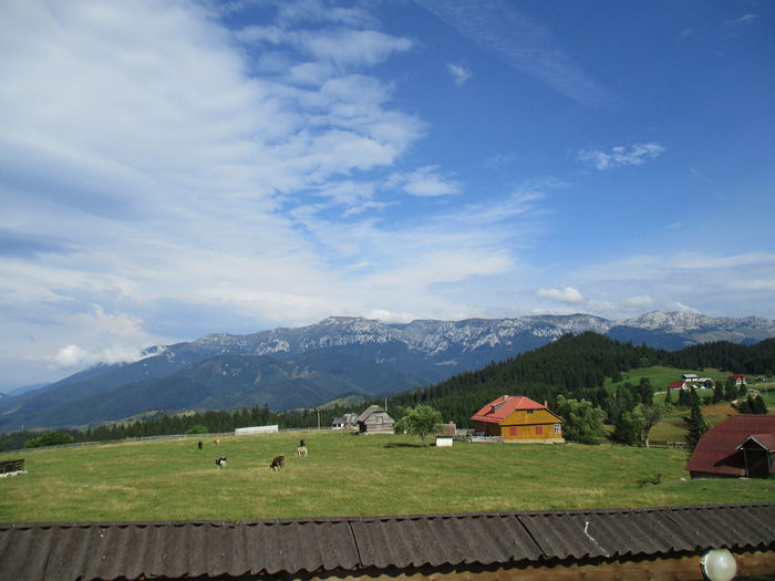 IMG_2711; M-tii Bucegi
