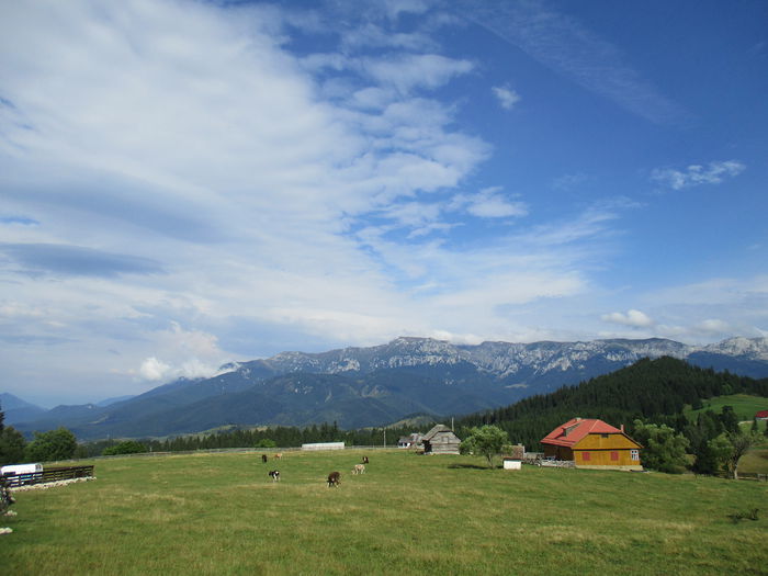 IMG_2712; M-tii Bucegi
