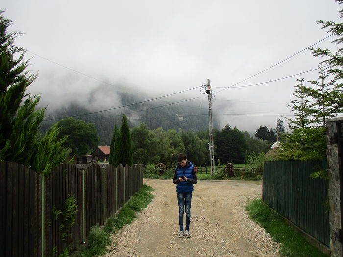 IMG_2823; Moeciu de Jos
