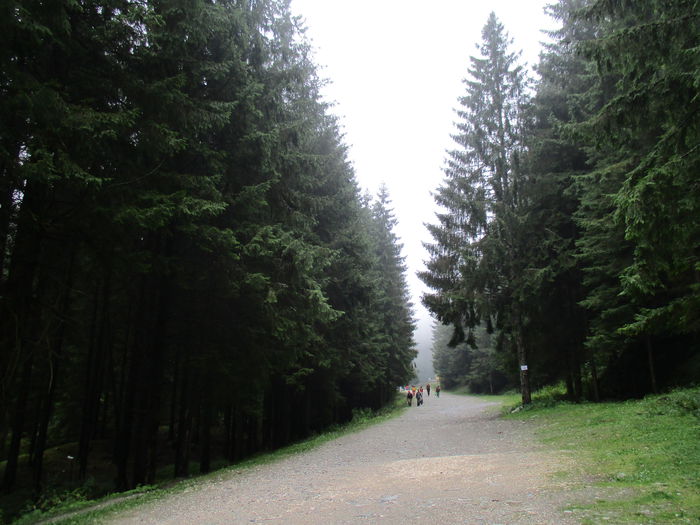 IMG_2941 - Brasov-Bran-Moeciu