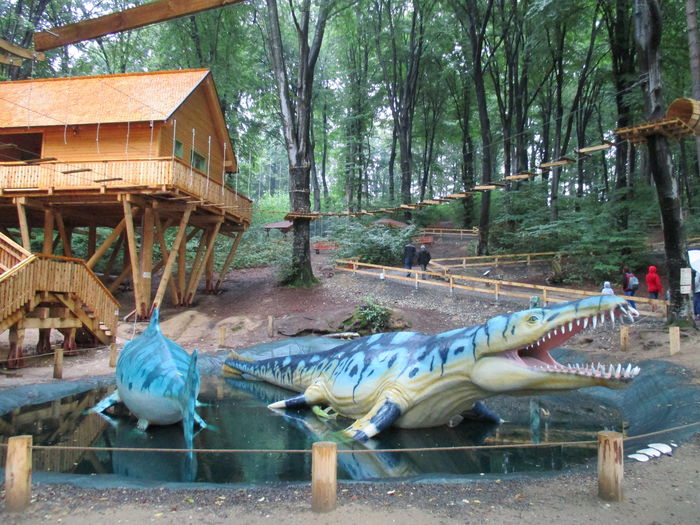 IMG_2837 - Dino Parc Rasnov