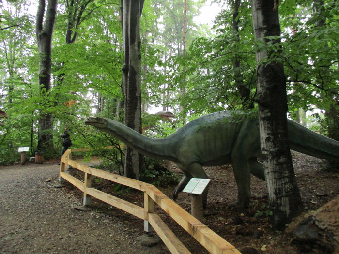 IMG_2860 - Dino Parc Rasnov