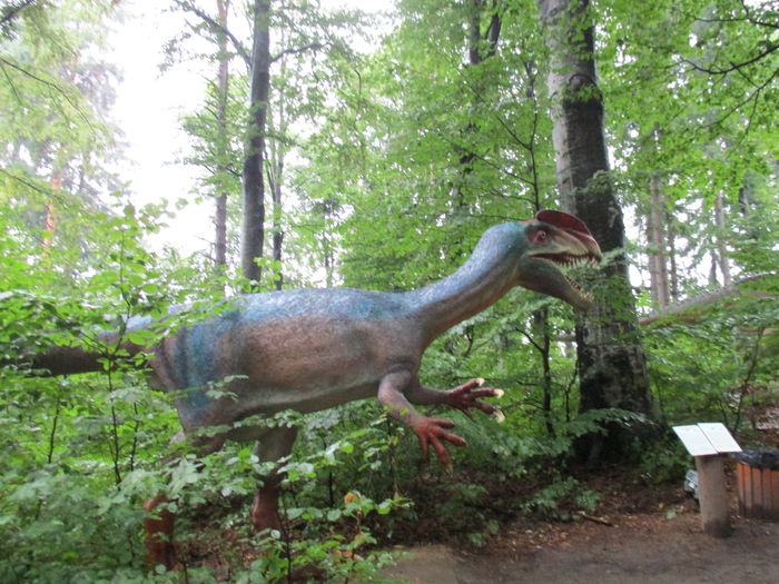 IMG_2863 - Dino Parc Rasnov