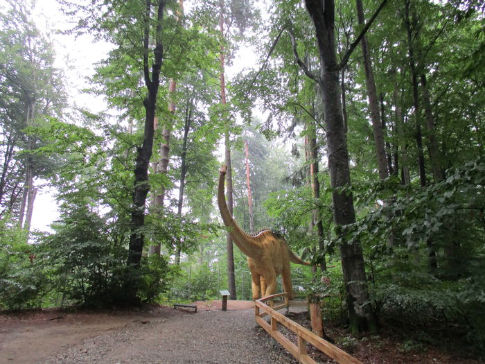 IMG_2865 - Dino Parc Rasnov