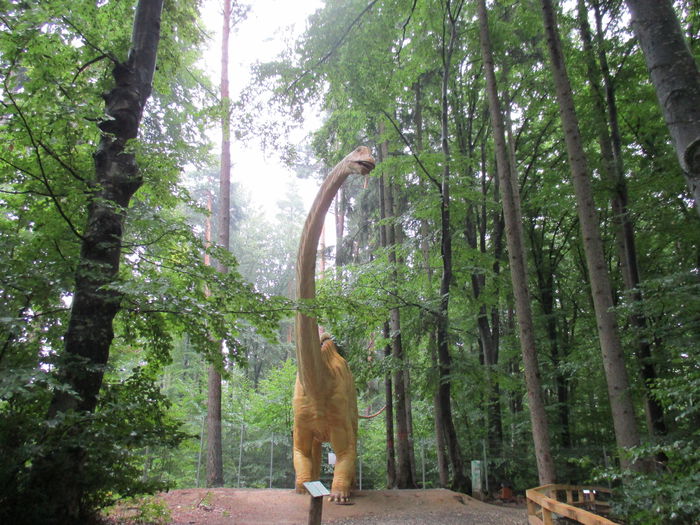 IMG_2868 - Dino Parc Rasnov