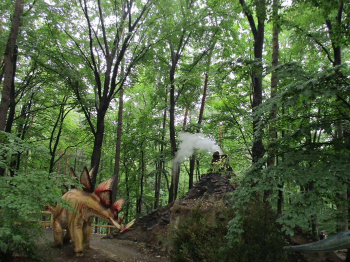 IMG_2869 - Dino Parc Rasnov