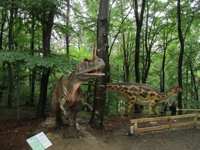IMG_2873 - Dino Parc Rasnov