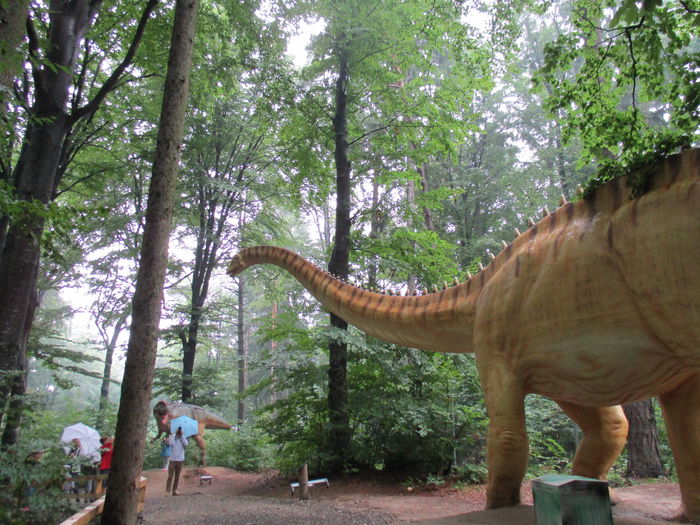 IMG_2874 - Dino Parc Rasnov
