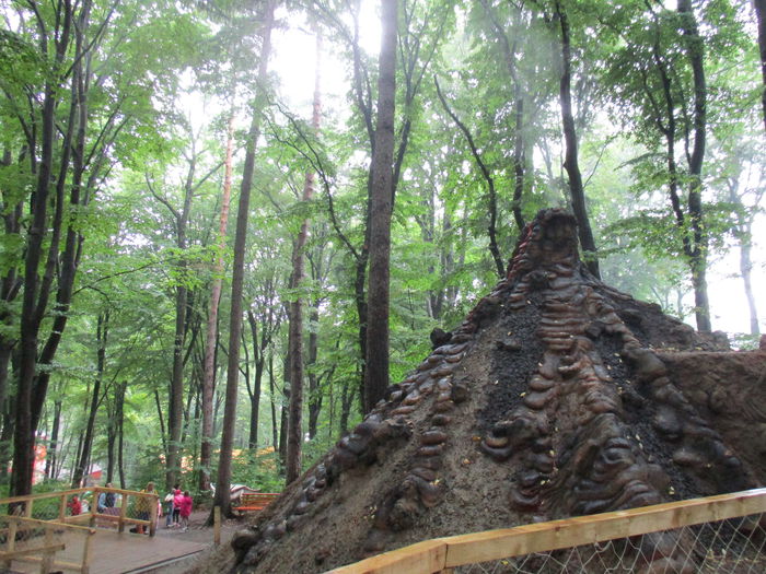 IMG_2879 - Dino Parc Rasnov