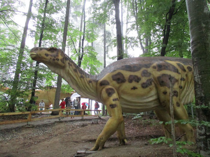 IMG_2881 - Dino Parc Rasnov