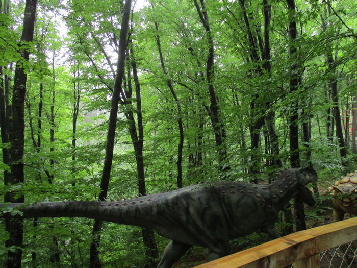 IMG_2901 - Dino Parc Rasnov