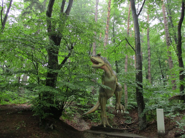 IMG_2905 - Dino Parc Rasnov