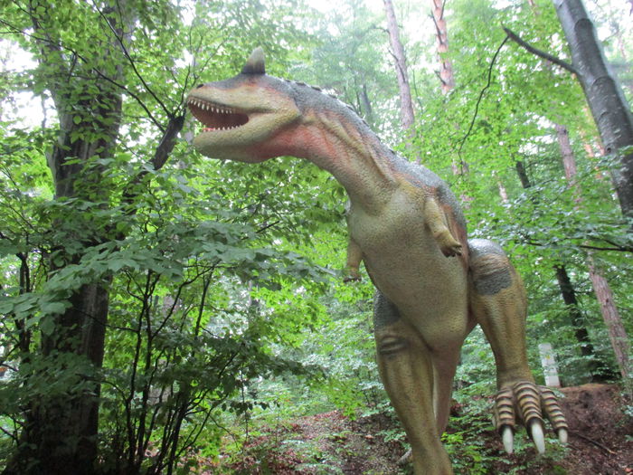 IMG_2906 - Dino Parc Rasnov