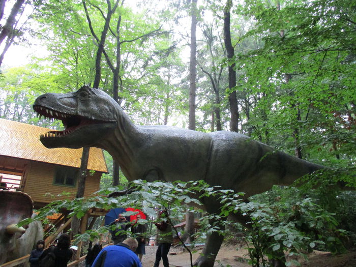 IMG_2912 - Dino Parc Rasnov