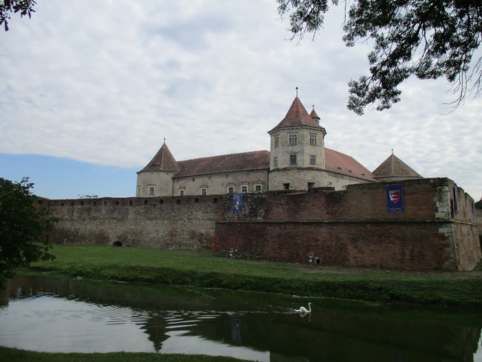 IMG_2981 - Cetatea Fagaras