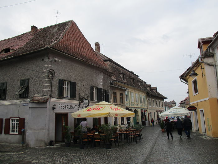 IMG_3006 - Sibiu-Rasinari