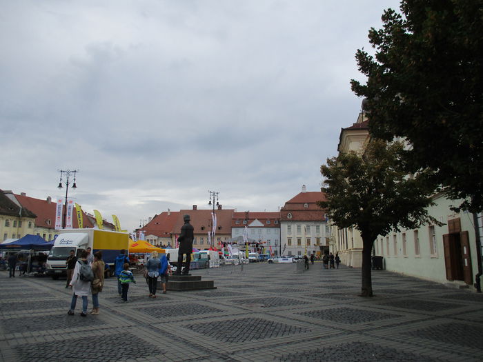 IMG_3024 - Sibiu-Rasinari