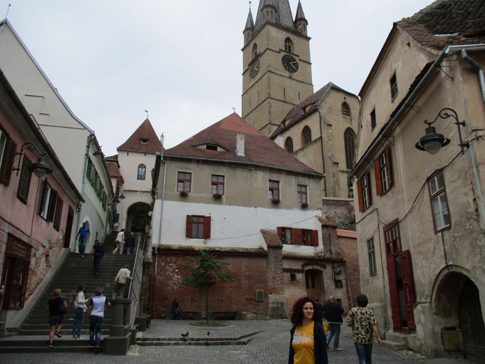 IMG_3056 - Sibiu-Rasinari