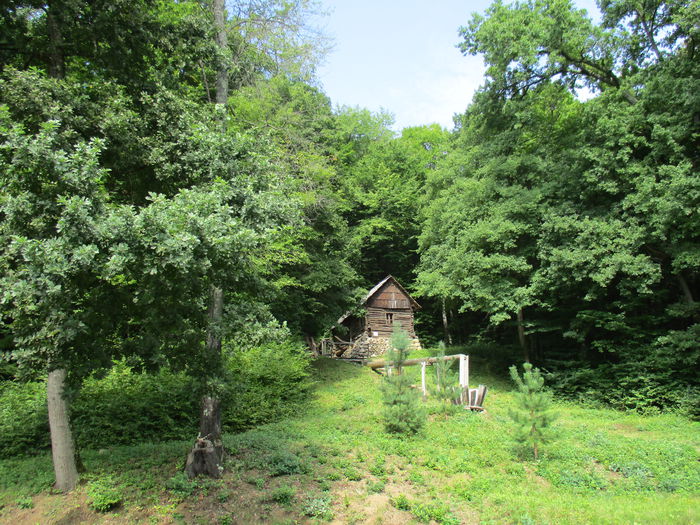 IMG_3288 - Muzeul Satului Astra-Sibiu