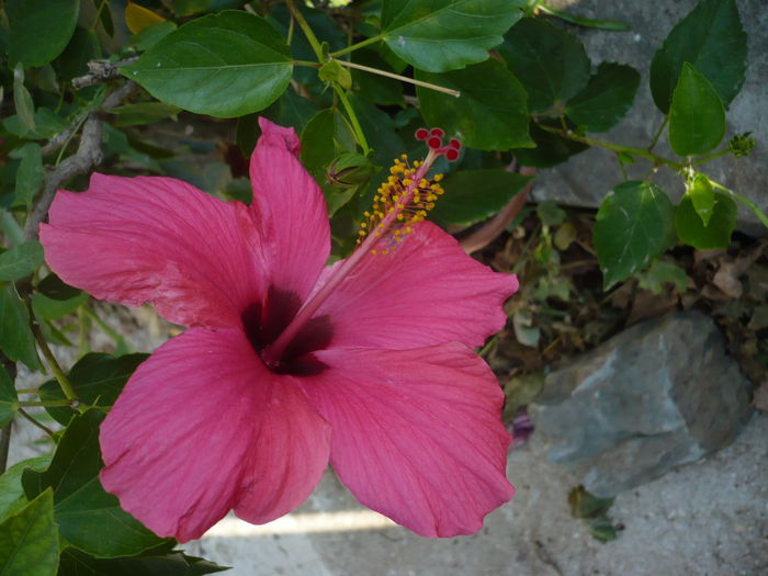 P1240043