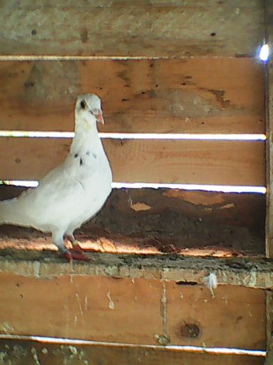 M-2015; Albul meu :D
