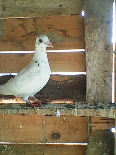 M-2015; Albul meu :D
