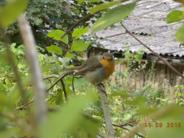 Deloc speriata de aparat