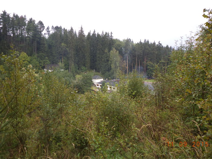 Frunzis pentru capre 100%