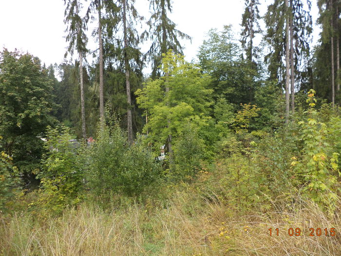 Jos e Strandul vechi; cata baie am facut eu aici
