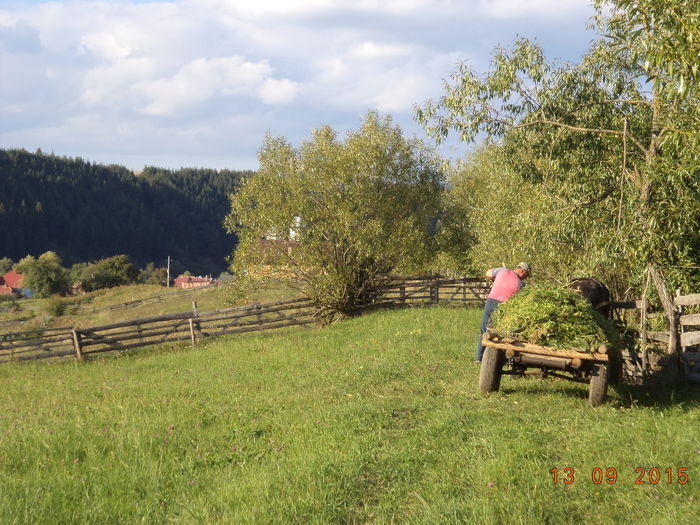 Ne pregatim sa venim acasa