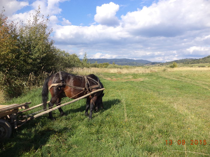 Noroc ca a mai plouat si a inverzit