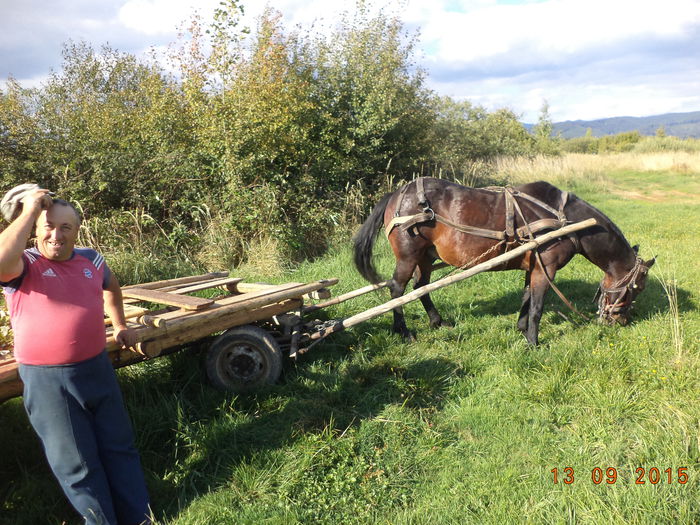 Sa manance iarba si calul